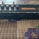 Atomic Amplifire 12