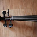 Antonius Stradivarius Cremonensis Faciebad anno 1721 (Lídl)