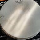 Remo 13" Ambassador Coated