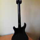 PRS Custom-22