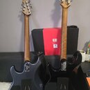 Music Man LUKE 3 -