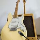 Fender Stratocaster USA 1997 + dobový hardcase