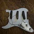 Pickguard se snímači BaCH Stratocaster