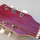 GIBSONKA CREMONA 460 Cutaway