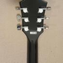 Elektroakustická kytara Fender FA-125CE SB WN