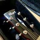 CORT SFX-Myrtlewood BR