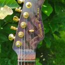 Valley Arts Custom Pro USA Short Scale 