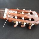 Cort AC200CE