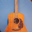 Akustická kytara Stanford D5 Vintage dreadnought
