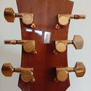 Jazzová kytara Jiří Navrátil (možná výměna za Telecaster)