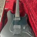 Fender Jim ROOT Stratocaster 2014 
