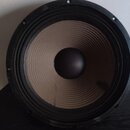 PEAVEY Repra15"