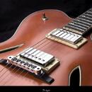 Mistrovská nejen-jazzová kytara od Procházka Custom Guitars