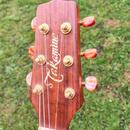 Takamine PSF-95 Santa Fe Made in Japan 1995