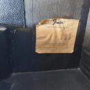 1977 Fender Musicmaster Bass Amp 230V