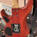 WASHBURN N 2