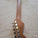  Fender DE Player II Stratocaster RW FRD