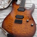 Schecter Banshee-6 Passive