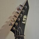 ESP-LTD Alexi-200 BK - elektrická kytara