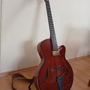Jazzová kytara Jiří Navrátil (možná výměna za Telecaster)