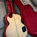 Washburn EA36 (1995) Robert Plant 