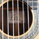 Alto Guitar