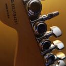 Prodám Fender Stratocaster Deluxe U.S.A.