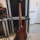 ESP LTD D-6 šestistrunná baskytara