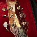 Washburn EA36 (1995) Robert Plant 