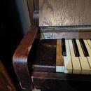 Piano FIBICH za odvoz!