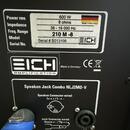 EICH T900 + EICH 210M (600 W / 8 Ω)