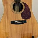 CF Martin Shenandoah HD-2832
