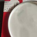 Evans 13" Power Center Reverse Dot Coated