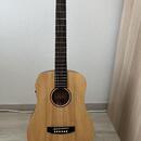 Cort Earth Mini E Adirondack OP