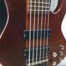 ESP LTD D-6 šestistrunná baskytara