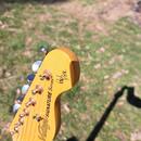 Telecaster Vintage V66 Paul Rose Signature