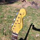 Telecaster Vintage V66 Paul Rose Signature