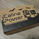 Caline CP-207 Pedal Power
