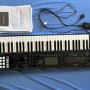 Roland Fa-06