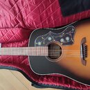 Alvarez MDR 70