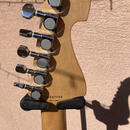 WASHBURN N 2