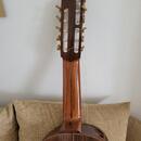 Alto Guitar