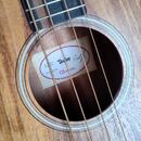 Taylor GS mini KOA-e bass