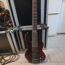 ESP LTD D-6 šestistrunná baskytara