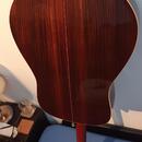 Akustická kytara Stanford D5 Vintage dreadnought