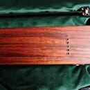 Lap Steel