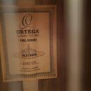 Ortega RCE159SN
