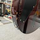 ESP LTD EC-1000 (KOREA) 