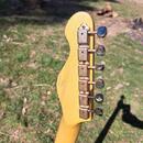 Telecaster Vintage V66 Paul Rose Signature