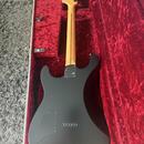 Fender Jim ROOT Stratocaster 2014 